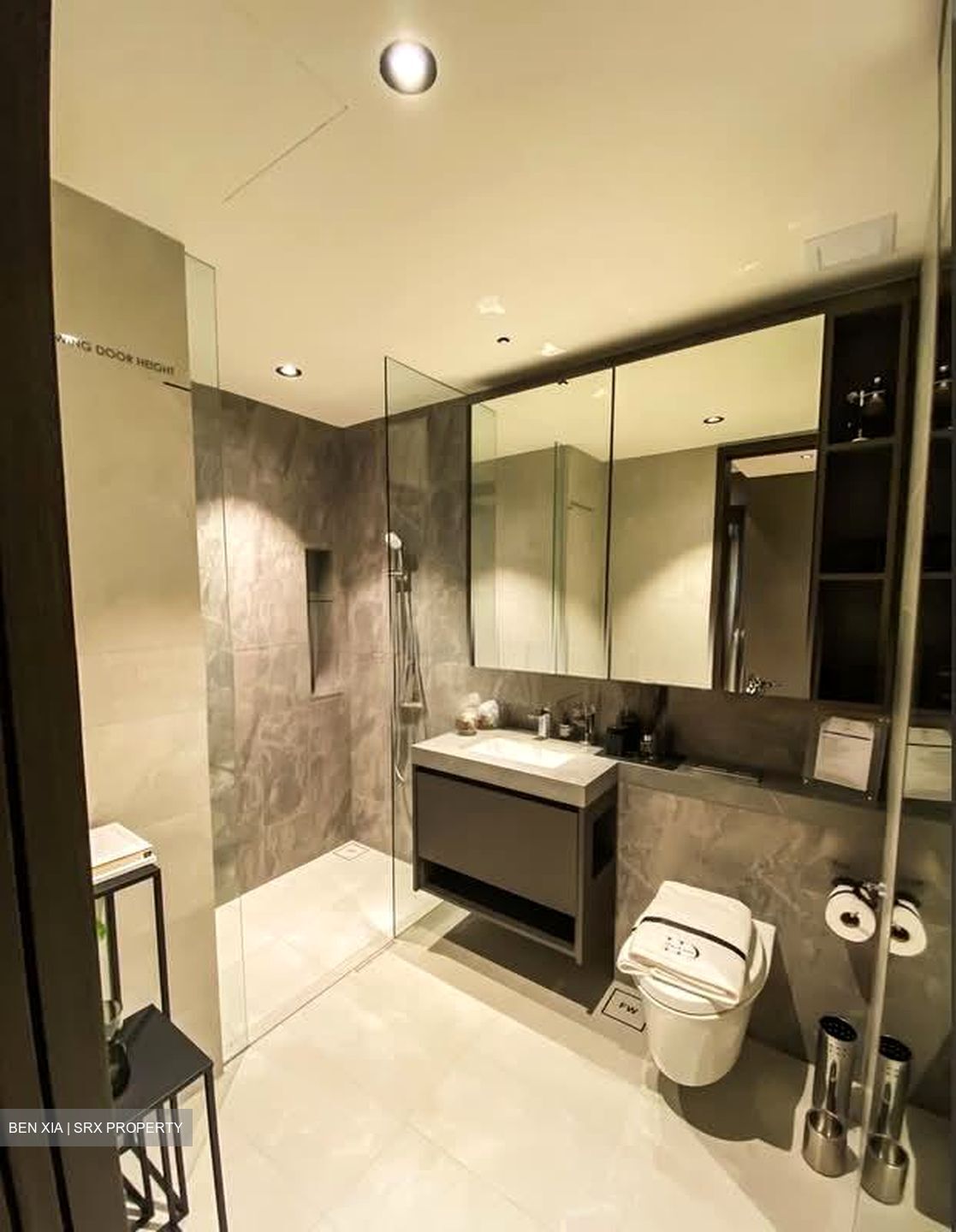 Parc Clematis (D5), Apartment #582743831